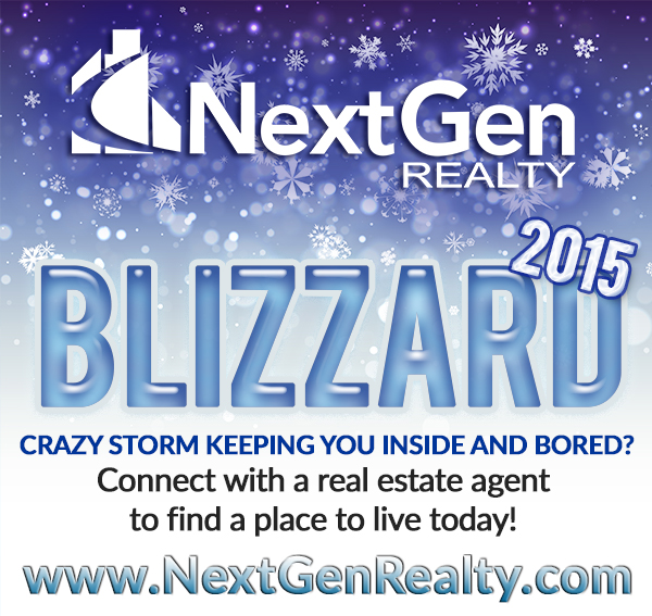 NetGen Realty Blizzard 2015 Juno Real Estate